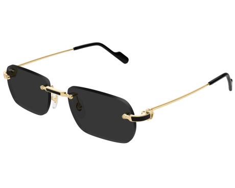 195255-Lunettes de Soleil Cartier Exception CT0498S