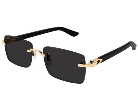 252804-Lunettes de soleil Cartier Décor C CT0579S