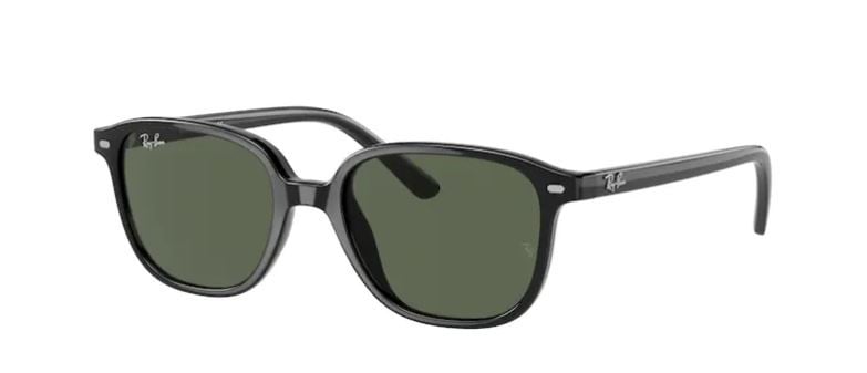 Ray-Ban Sonnenbrille RJ9093S