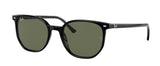 Occhiali da Sole Ray-Ban RB2197