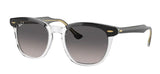 Gafas de Sol Ray-Ban RB2298