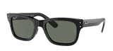Gafas de sol Ray-Ban RB2283