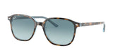 Gafas de Sol Ray-Ban RB2193