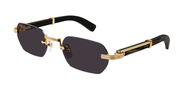 Cartier Horn and Wood Première CT0362S Sunglasses