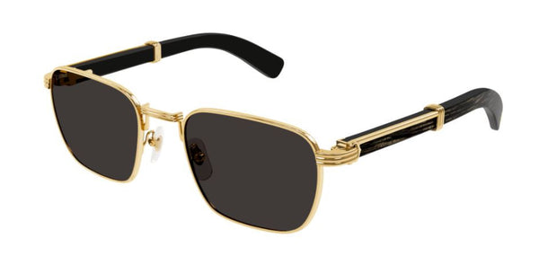 Óculos de Sol Cartier Première de Cartier CT0363S
