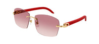 Cartier Décor C CT0039RS Sunglasses