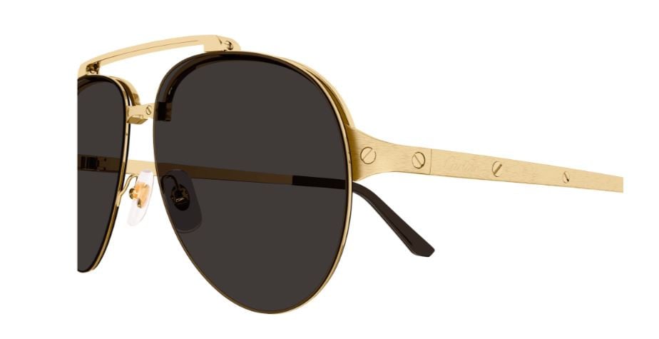 Cartier Santos CT0354S Sonnenbrille