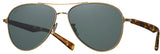 Gafas de sol Eyevan Paragon
