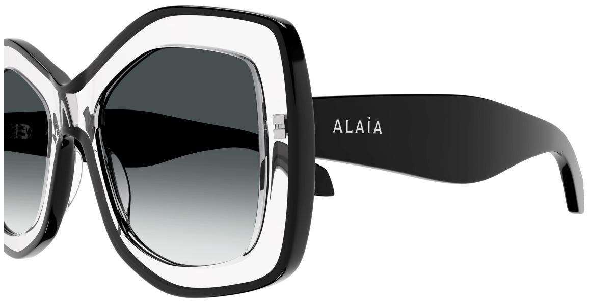 Gafas de sol Alaia AA0066S