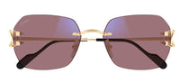 Sonnenbrille Cartier Piccadilly CT0416S Photochrom