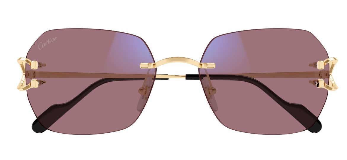 Sonnenbrille Cartier Piccadilly CT0416S Photochrom