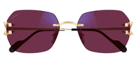 Sonnenbrille Cartier Piccadilly CT0416S Photochrom