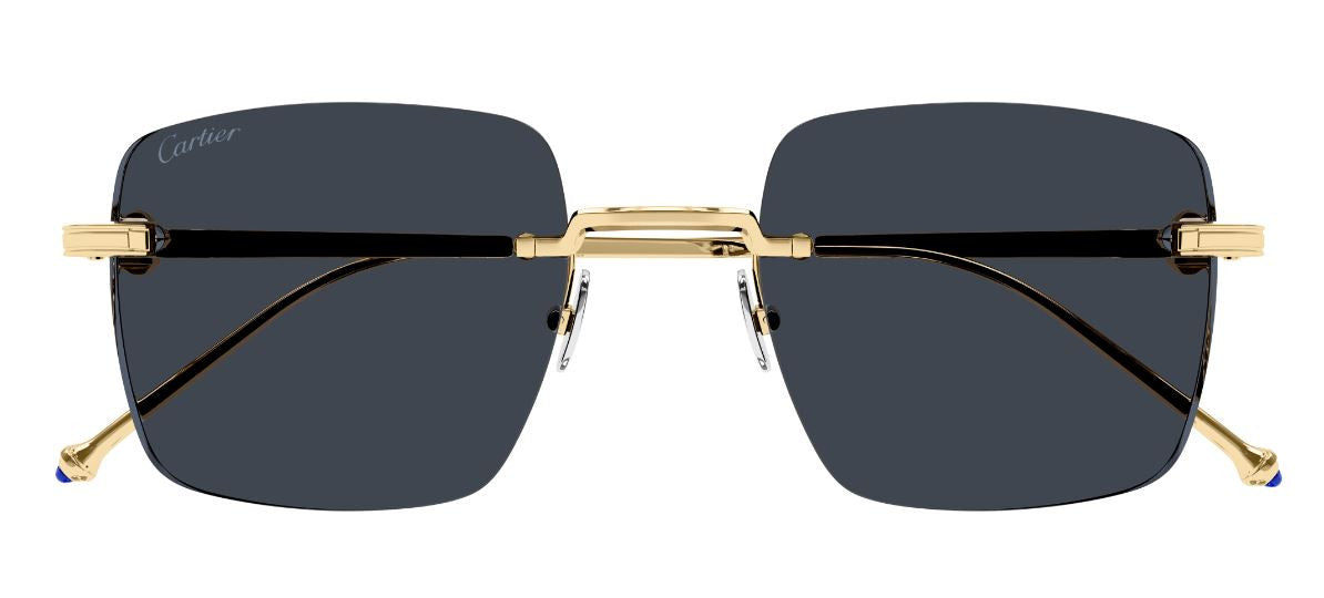 Óculos de Sol Cartier Exception CT0403S