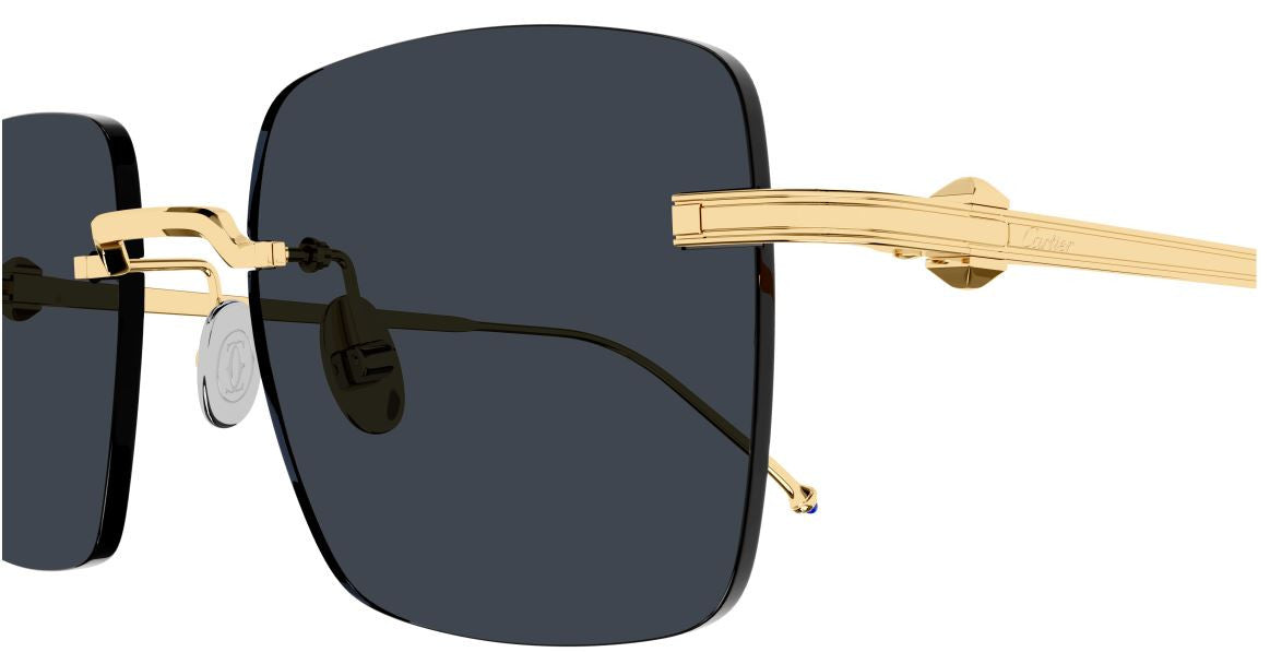 Óculos de Sol Cartier Exception CT0403S