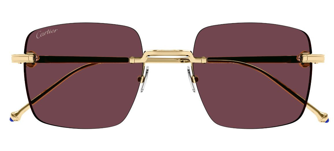 Óculos de Sol Cartier Exception CT0403S