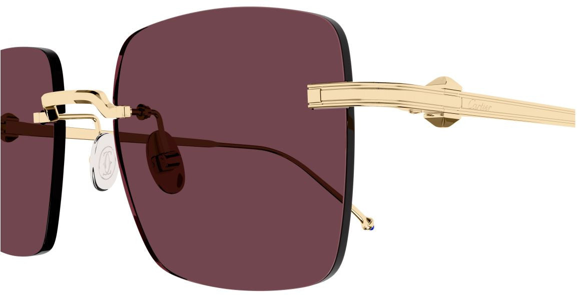 Óculos de Sol Cartier Exception CT0403S