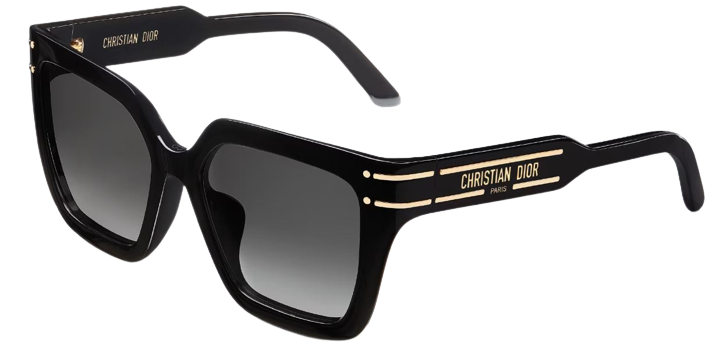 DIOR DiorSignature S10F Sunglasses