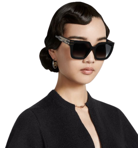 DIOR DiorSignature S10F Sunglasses