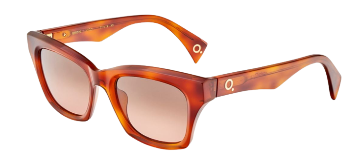 Sonnenbrille Etnia Barcelona Bertini