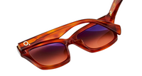Sonnenbrille Etnia Barcelona Bertini