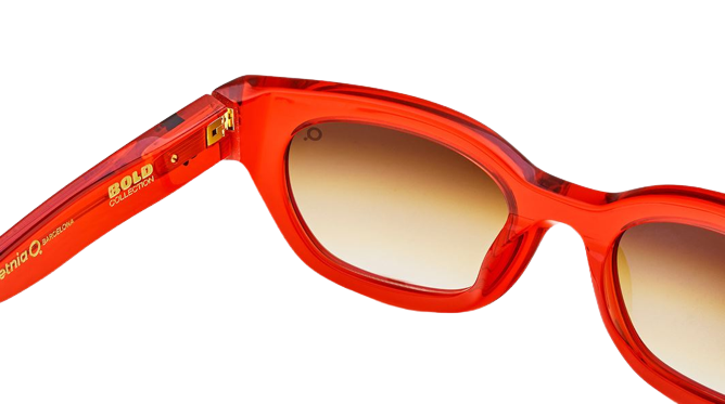 Gafas de sol Etnia Barcelona Brutal No.6