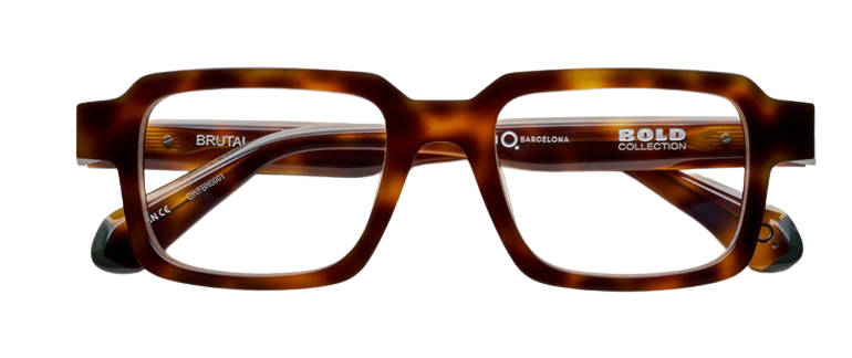 Korrektionsbrille Etnia Barcelona Brutal NO.16