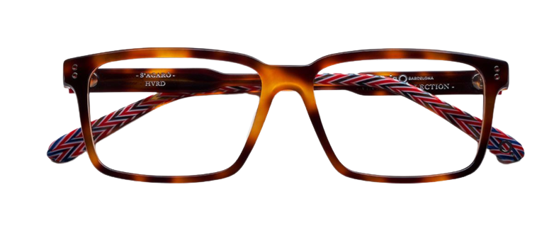 Brille Etnia Barcelona Sagaro
