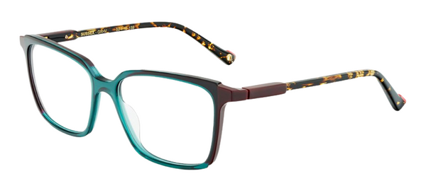 Leesbril Etnia Barcelona Sussex