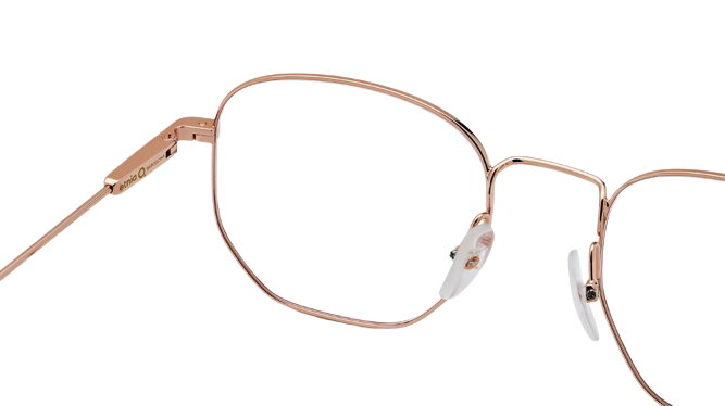 Lunettes de vue Etnia Barcelona Buchanan ST