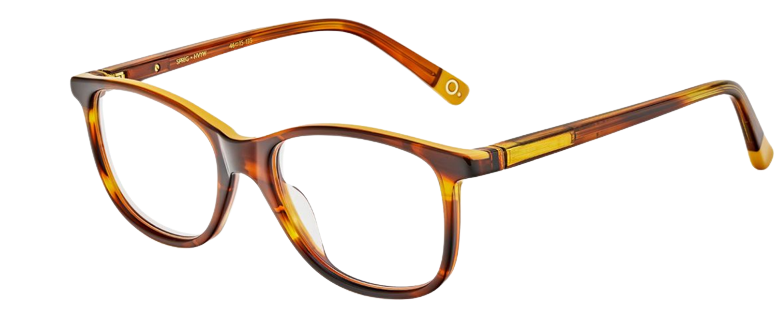 Korrektionsbrille Etnia Barcelona Sprig