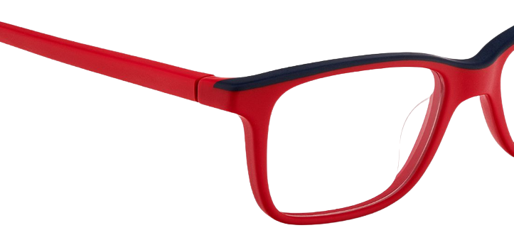 Korrektionsbrille Etnia Barcelona Pepe