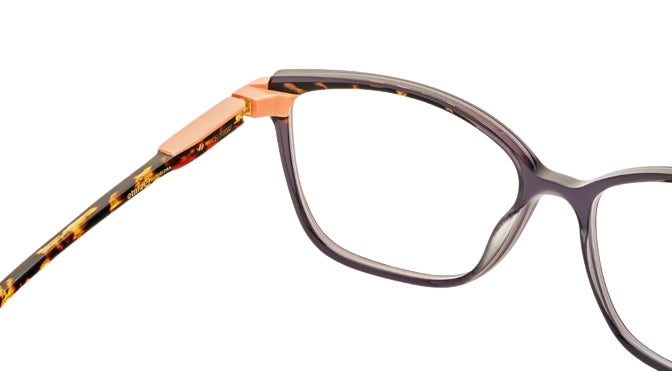 Optische bril Etnia Barcelona Sajonia