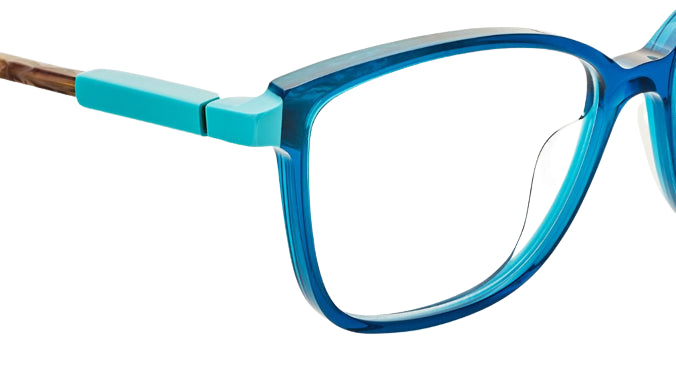 Optische bril Etnia Barcelona Sajonia