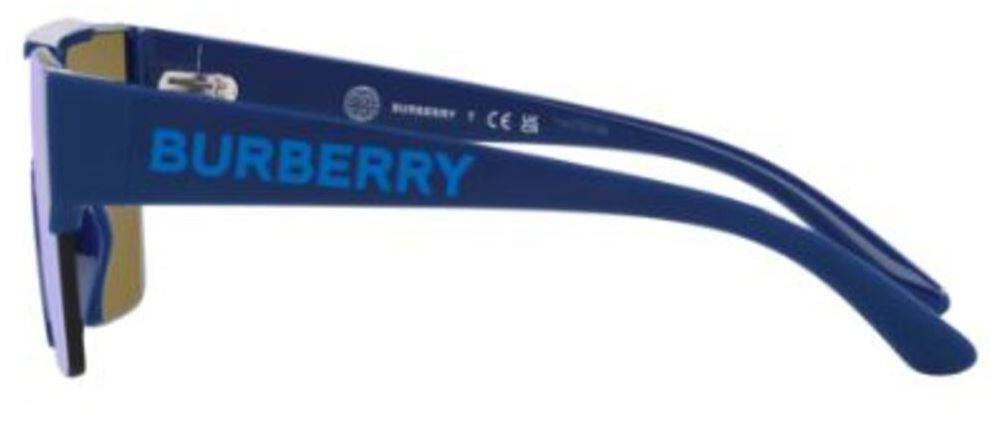 Gafas de sol Burberry JB4387