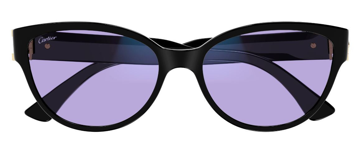 Cartier Signature C CT0450S Sonnenbrille (PHOTOCHROM)