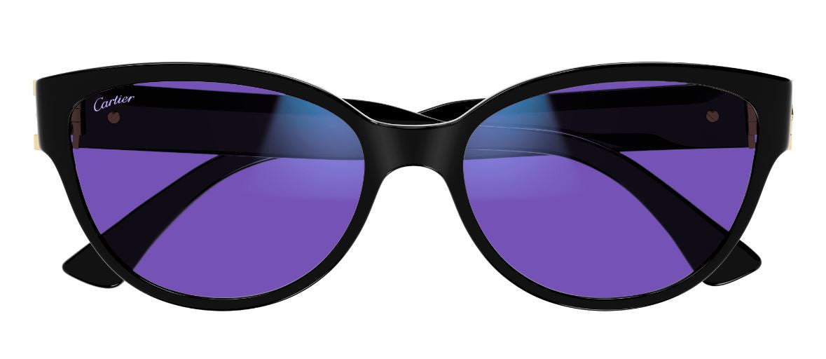 Cartier Signature C CT0450S Sonnenbrille (PHOTOCHROM)
