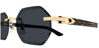Occhiali da Sole Cartier Corne et Bois Décor C CT0439S