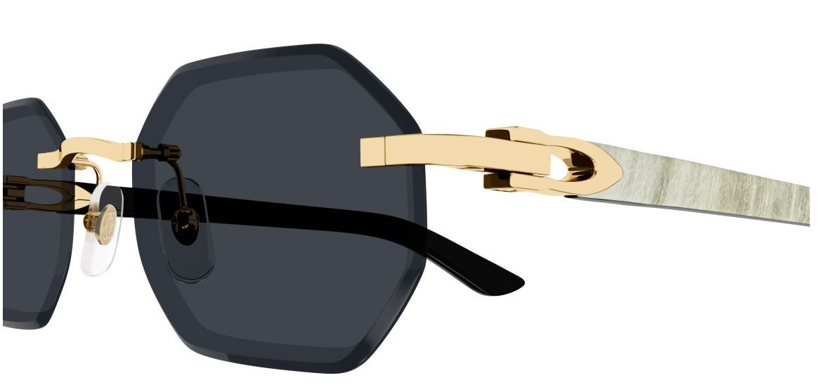 Occhiali da Sole Cartier Corne et Bois Décor C CT0439S