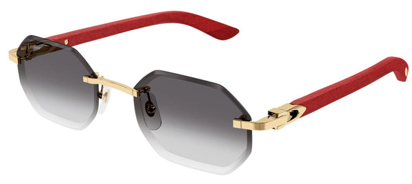 Сонцезахисні окуляри Cartier Corne et Bois Décor C CT0439S