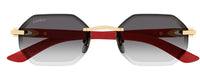Occhiali da Sole Cartier Corne et Bois Décor C CT0439S