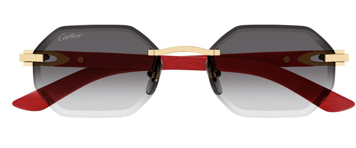 Occhiali da Sole Cartier Corne et Bois Décor C CT0439S
