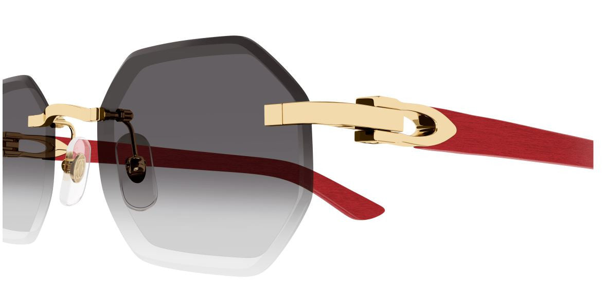 Occhiali da Sole Cartier Corne et Bois Décor C CT0439S