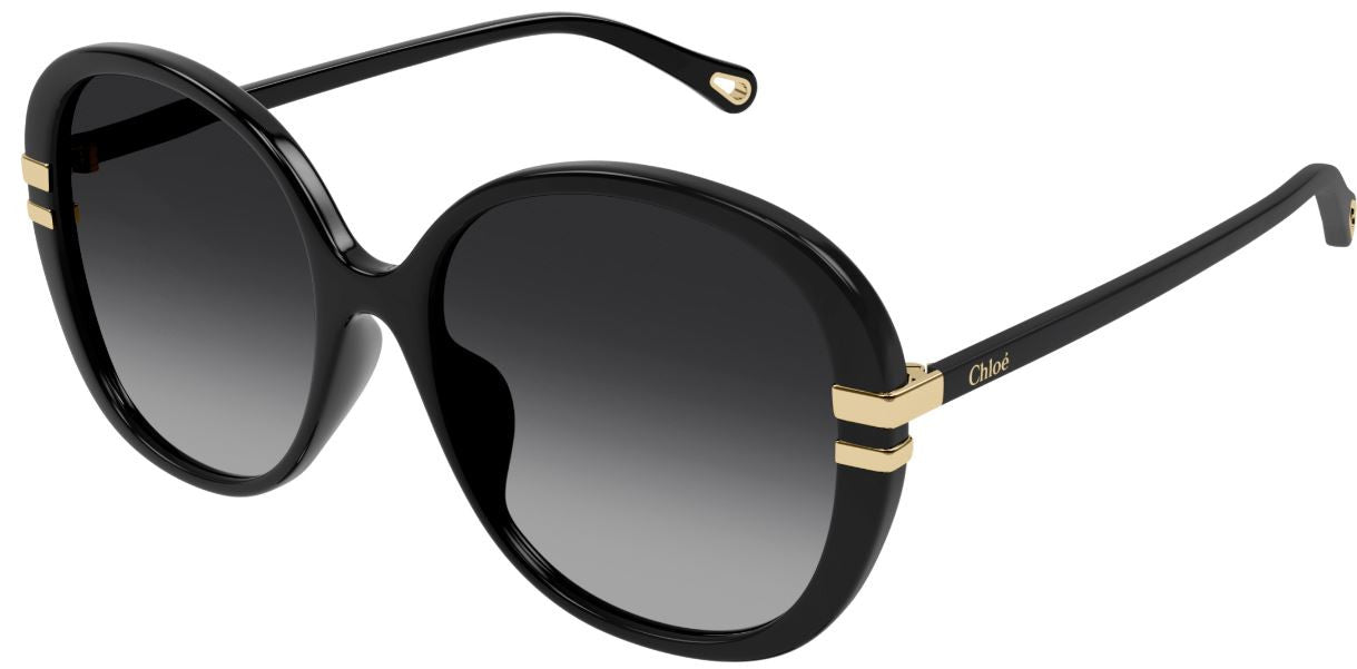 Gafas de sol Chloe CH0207SK