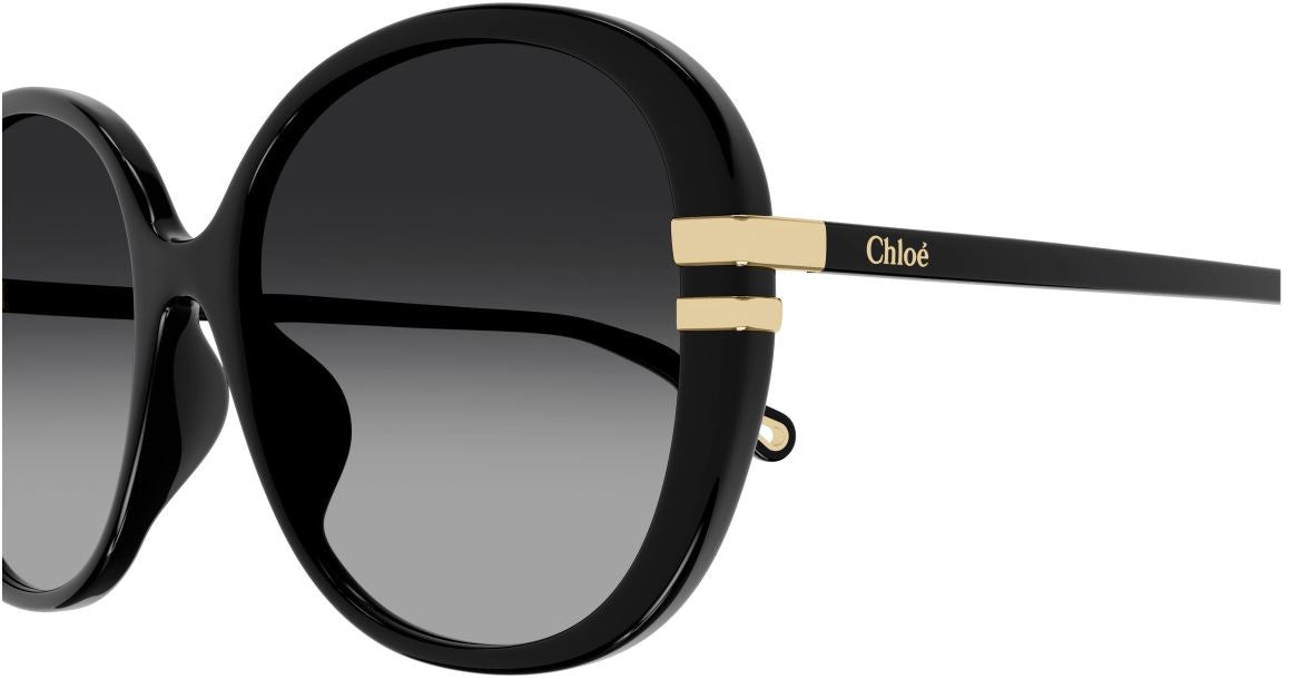 Gafas de sol Chloe CH0207SK