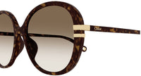 Gafas de sol Chloe CH0207SK