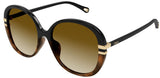 Gafas de sol Chloe CH0207SK