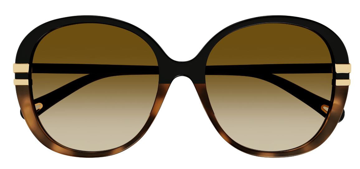 Gafas de sol Chloe CH0207SK