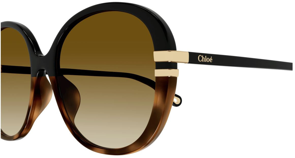 Gafas de sol Chloe CH0207SK