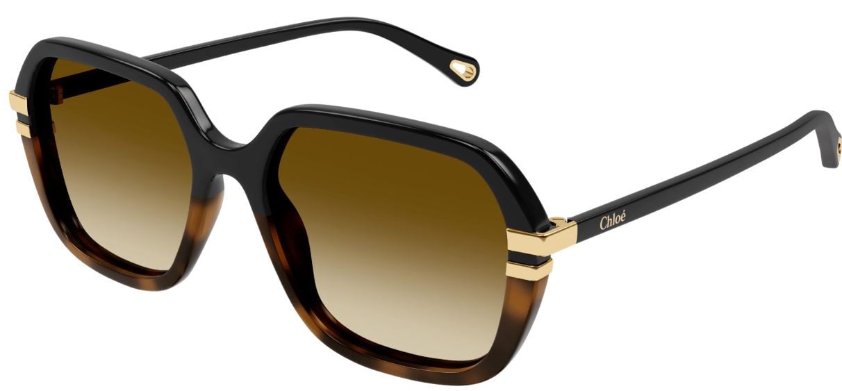 Zonnebrillen Chloe CH0204S