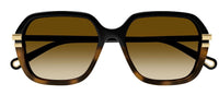 Zonnebrillen Chloe CH0204S